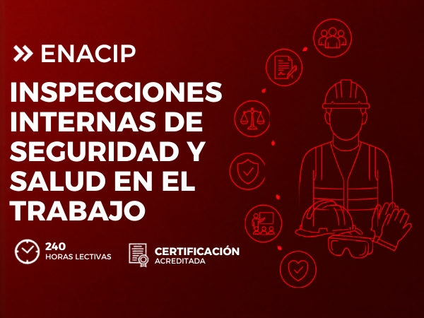 DIPLOMADO EN INSPECCIONES INTERNAS DE SEGURIDAD Y SALUD EN EL TRABAJO