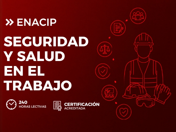 DIPLOMADO EN SEGURIDAD Y SALUD EN EL TRABAJO