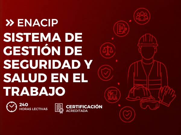 DIPLOMADO EN SISTEMA DE GESTIÓN DE SEGURIDAD Y SALUD EN EL TRABAJO
