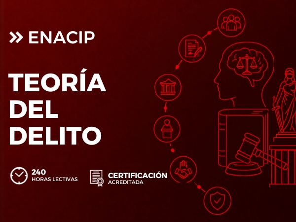 DIPLOMADO EN TEORÍA DEL DELITO